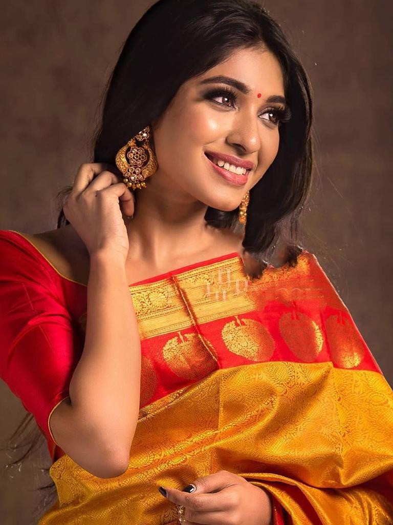 Semi Silk Kanjeevaram Elegant Design Saree