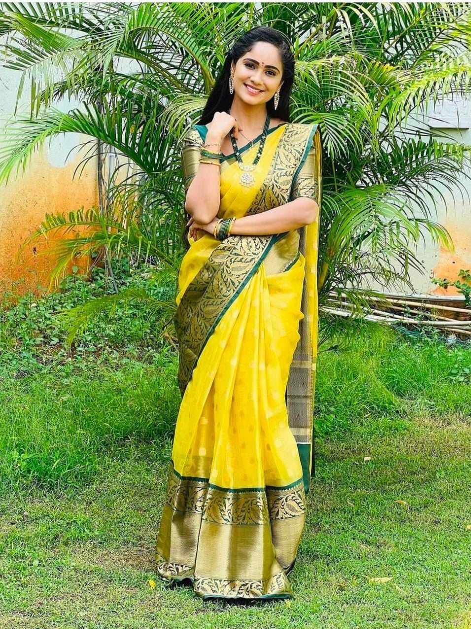 Semi Silk Kanjeevaram Elegant Design Saree