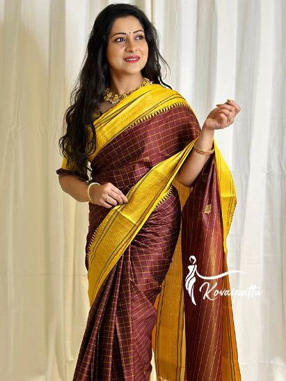 Semi Silk Kanjeevaram Elegant Design Saree