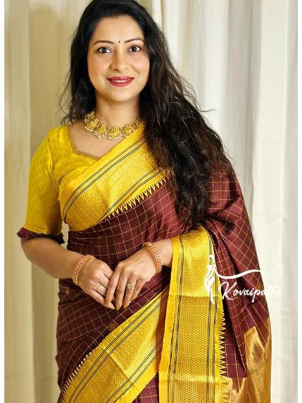 Semi Silk Kanjeevaram Elegant Design Saree