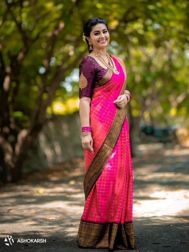 Semi Silk Kanjeevaram Elegant Design Saree
