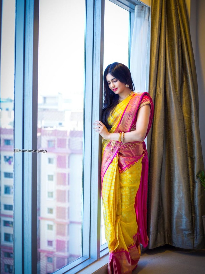 Semi Silk Kanjeevaram Elegant Design Saree
