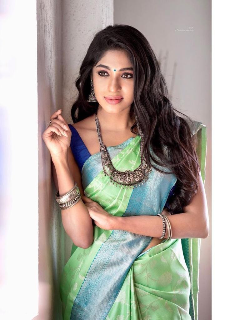 Semi Silk Kanjeevaram Elegant Design Saree